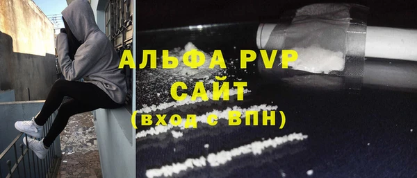 прущие грибы Гусь-Хрустальный