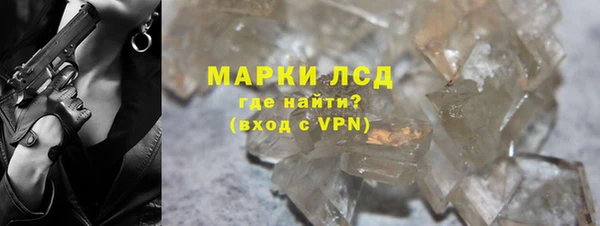 прущие грибы Гусь-Хрустальный