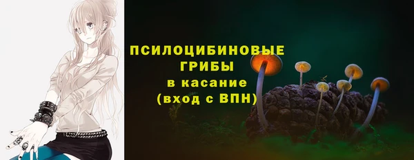 jwh Гусев