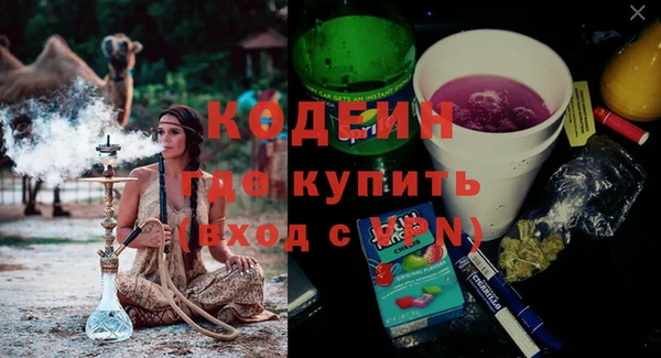 прущие грибы Гусь-Хрустальный