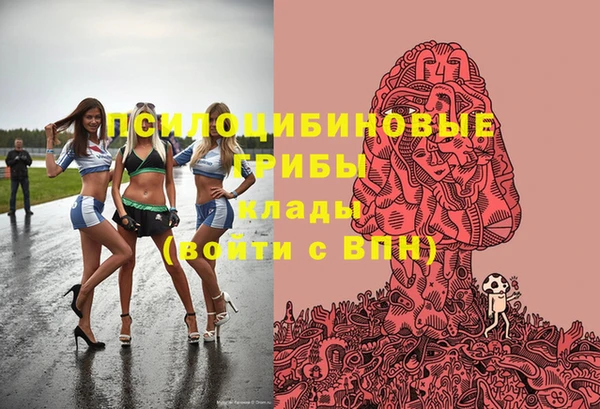 прущие грибы Гусь-Хрустальный