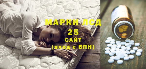 прущие грибы Гусь-Хрустальный