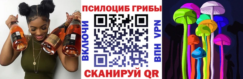 OMG зеркало Няндома Псилоцибиновые грибы Cubensis